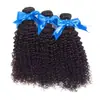 Peruca Afro Pequena Cabelo a Granel Onda Profunda Cachos Espirais Pacote de Cabelo YaKi