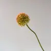Popular en Xiaohongshu: Arreglos florales artificiales Monet Garden en tonos amarillos y verdes para escaparates, flores decorativas y decoraciones de boda