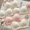 Venda Direta de Fábrica de Roupas Íntimas de Renda Floral Doce Populares Transfronteiriças, Push-Up para Seios Pequenos, Suporte Macio, Sutiã Beauty Back Sem Fio