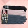 Guantes de invierno nuevos para montar en coche eléctrico cálidos cálidos cálidos guantes simples cálidos modernos guantes para mujer venta al por mayor de fábrica