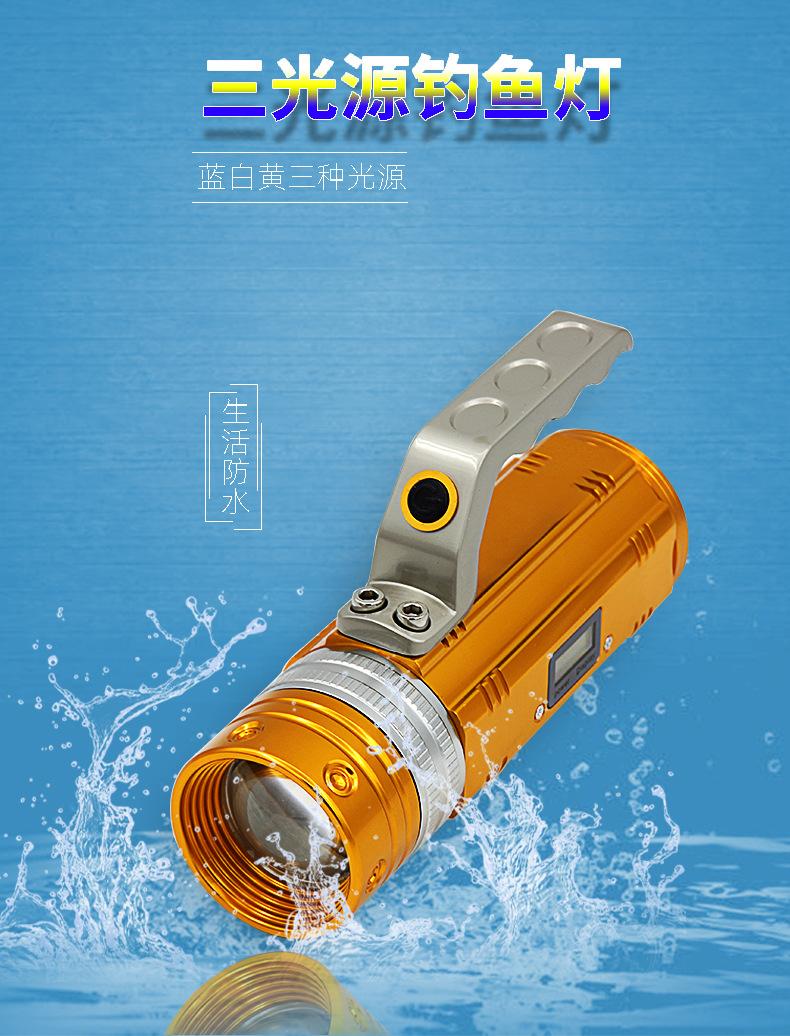 详情页_01.jpg