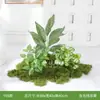 Combinación de Paisaje Artificial, Decoración de Musgo y Hojas para Interiores