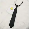 Algodão Poliéster Preguiçoso JK Gravata Pequena Grátis Preto Vermelho Vinho Azul Marinho Cor Sólida Mistura Coreana Estudante Básico Uniforme Escolar Turma