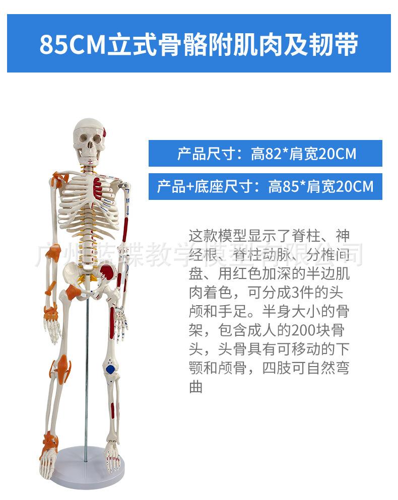 详情_11