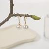 Pendientes Dorados de Moda, Lujo Ligero y Sensación de Alta Gama, Estilo Nuevo, Pendientes Simples y Versátiles, Pendientes de Perlas para Otoño e Invierno