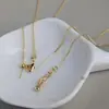 Caixa de colar pulseira universal tipo agulha dourada, corrente de caixa, corrente cuidadosa, ajuste de corrente, corrente de clavícula telescópica com contas