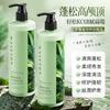 Baizhentang Hojas de Platycladus Sábila Champú Refrescante y Esponjoso Mayoreo Cabello Refrescante, Esponjoso y Suave Cuidado Sedoso del Cabello