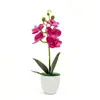 Flor Artificial 5 Flores Phalaenopsis Planta en Maceta Planta Verde Realista de Gama Alta Bonsái Escena de Fotografía para el Hogar Diseño Bonsái