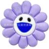 Zapatos Serie Girasol Transfronterizos Hebilla de Zapato Comercio Electrónico Transfronterizo Hebilla de Zapato Removible Zapatos de Playa Empeine de Zapato
