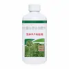 Gergelim Alto Rendimento Grão Completo Gergelim de Alto Rendimento Especial Fertilizante Foliar Promove Macilhamento Aumenta o Rendimento Fertilizante Solúvel em Água Gergelim Alto Rendimento