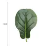 Hojas Simuladas Grandes Estilo Escandinavo, Hojas de Monstera, Hojas de Girasol, Hojas de Canna, Hojas de Platanillo de Viajero, Hojas de Ficus