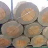 Piso de PVC Piso de Cloreto de Polivinila Piso de Borracha Piso de Engenharia Plástica Exportado para a África e África do Sul
