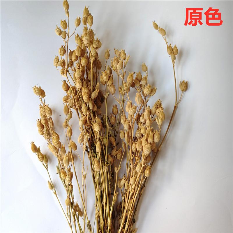 IMG_20230427_112659_副本_副本.jpg