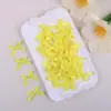 Cinta de Poliéster de 6MM Lazo de Cinta Lazo Mini Atado a Mano Accesorios Regalo Materiales Decorativos Hechos a Mano