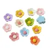 Acessórios de Cabelo Flor de Resina Colorida Mista, Decorações para Capa de Celular, Roupas, Sapatos, Chapéus, Molduras de Fotos, Vasos de Flores, Materiais Decorativos Criativos Atacado