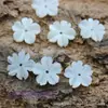 12mm Caracol Ferradura Natural Flor de Cinco Pétalas Concha Aberta de Pétalas Pequenas Estilo Antigo Grampo de Cabelo Adorno de Cabeça Roupas Acessórios DIY