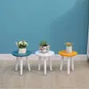 Estante Organizador de Plantas de Madera, Soporte de Macetas de Madera Maciza, Soporte Minimalista para Plantas Verdes y Flores, Estante de Exhibición Multifuncional