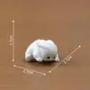 Micro-Paisaje Creativo Lindo Cerdo Tortuga Acostado Muñeco de Animal Pequeño Accesorios de Decoración DIY Mini Adornos Pequeños