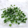 Venta al por mayor Hoja Verde Simulada Rábano Uva Trepadora Tigre y Begonia Sandía Hiedra Colgante de Pared Planta Verde Simulada Colgante de Pared Ratán