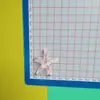 Lentejuelas Transparentes de Colores Estrella de Mar DIY Pinzas para el Cabello Accesorios para el Cabello Funda de Teléfono Amuletos para Zapatos Pegamento Crema Materiales de Decoración Accesorios