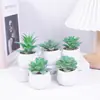 Simulação de plantio verde e vaso de cerâmica carnudo com diamantes. Simulação de vaso de cerâmica carnudo para decoração de casa. Super decoração.