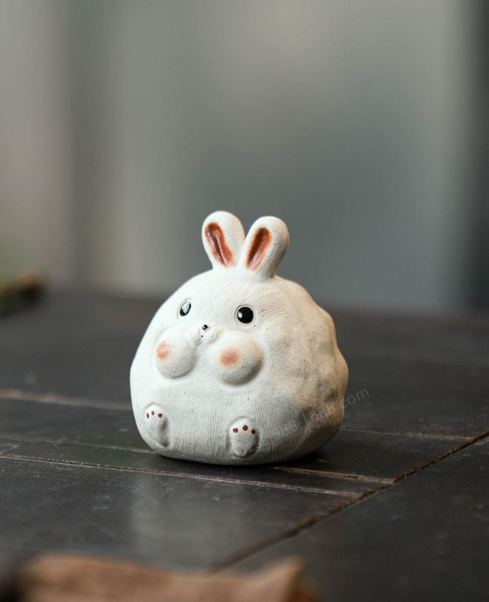 美兔兔20220607 (14).jpg