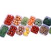 Caixa de Conservação Fresca Inomata Importada do Japão Caixa de Armazenamento para Geladeira e Freezer Caixa Selada Refrigerada para Frutas e Legumes 790ml