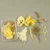Flor Mágica Flor Eterna Bolsa de Material Aniversário Flor Seca Moldura de Foto Artesanal Leque Redondo em Branco diy Pequeno Buquê de Flores Presente Flutuante