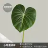 Decoración de Pared de Planta Artificial de Moda con Textura Realista de Hojas de Monstera, Suministro Transfronterizo de Hojas de Taro Artificiales de Colores