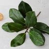 Arreglo floral de simulación de hoja de magnolia, película para hojas, accesorios de hoja de cartón para bodas transfronterizas, pegamento para tela Binghua, Binghua