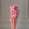 Flores de Mijo Conservadas Blancas, Flores de Mijo Secas, Venta al por Mayor desde Fabricante, Materiales para Uñas Hechas a Mano DIY