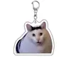 Linda idea de regalo de expresión de gatito acrílico, llavero colgante divertido para mascotas transfronterizo, recuerdo de perro