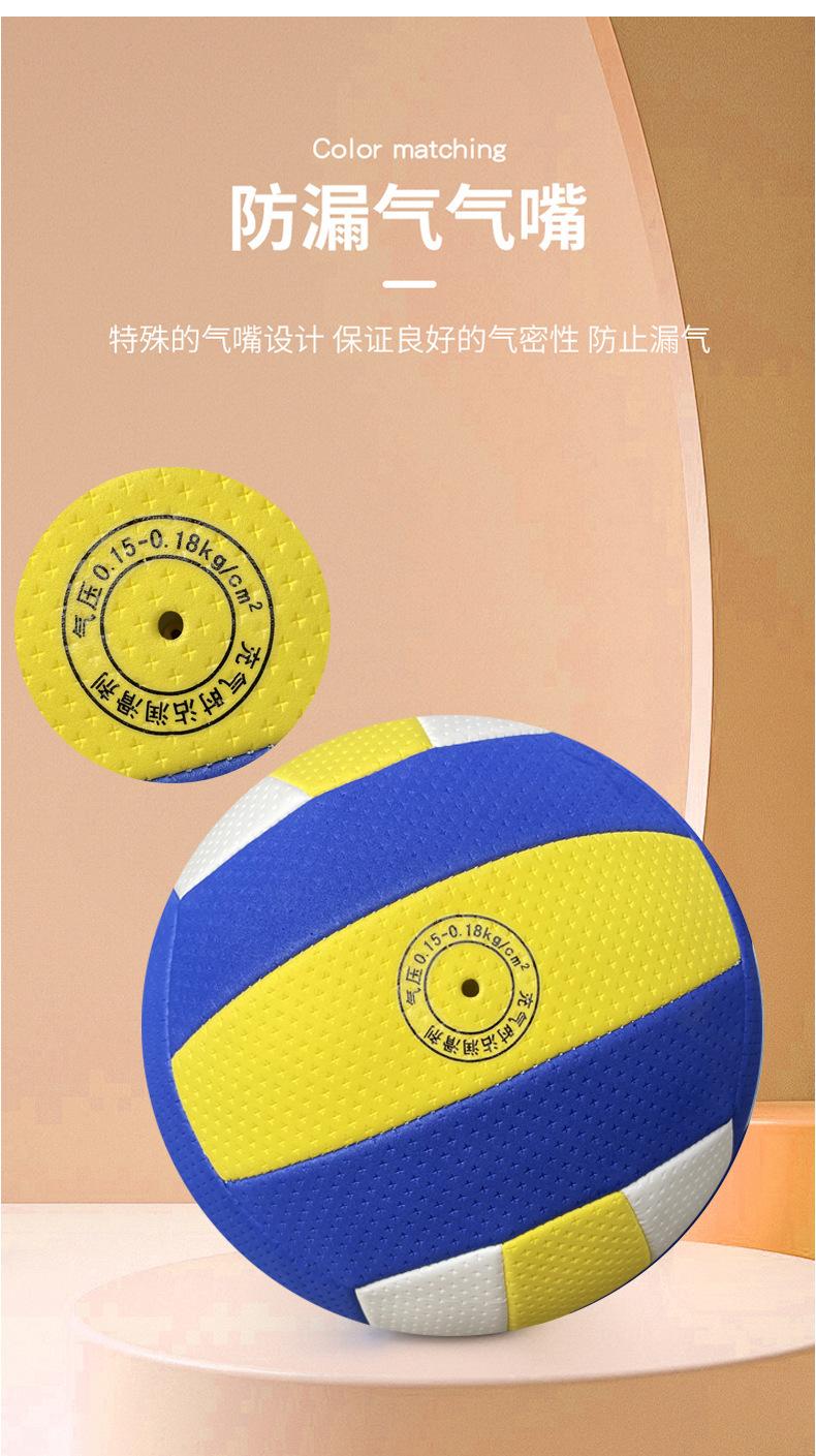 气排球_10.jpg