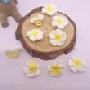 Arcilla Suave de 15 mm Frangipani Pequeño Fabricante Mayorista Pulsera de Cuentas DIY Collar Accesorios de Joyería Hawaiana Frangipani