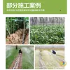 Cinta de Microaspersión Agrícola, Cinta de Agua para Riego de Hortalizas de Campo, Cinta de Riego por Aspersión de 1 pulgada 1.5 pulgadas 2 pulgadas, Tubería de Aspersión de Suelo, Microaspersión