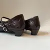 Zapatos de Cuña Baja de Boca Poco Profunda para Mujer Sixwoo Commuter, Zapatos Mary Jane de Cuero Suave con una Correa, Zapatos Pequeños de Cuero con Punta Fina y Tacón Bajo, Nuevos Estilos de Primavera y Verano