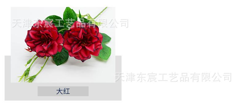 详情_03.jpg