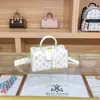 Suministro Directo de Fábrica Bolsos para Mujer al por Mayor, Bolso Boston Almohada con Grabado de Lujo de Nicho, Bolso de Hombro Cruzado Moderno y Elegante