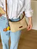 Bolso Tejido Novedad Nicho Transfronterizo 2025 Bolso de Playa de Verano Versátil Bolso Bandolera de Hombro Único Bolso Dumpling