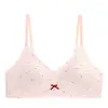 Verano Nuevo Estilo Fresco Cuadros Fruncido Sin Costuras Inalámbrico Forma de U Espalda Hermosa Anti-Caída Cómodo Sujetador para Mujeres Venta al por Mayor