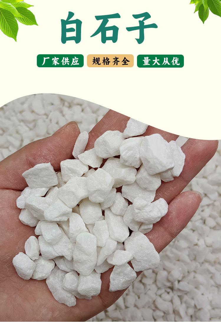 详情页_01.jpg