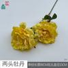 Peônia de Duas Cabeças, Peônia Kaochino, Arranjo de Flores para Salão de Casamento, Flor de Seda, Arranjo para Parede de Fundo de Restaurante, Flor Artificial