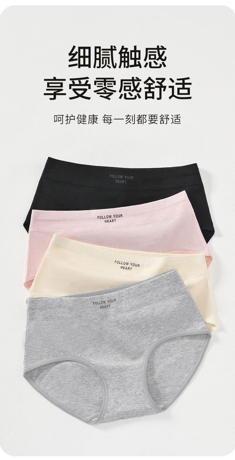 1543详情_03.jpg