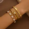 Elegante y Sencillo Popular Europeo y Americano Francés Elegante Ins Moda Corazón Circonita Set de Pulseras Elegante Pulsera de Acero de Titanio