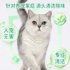 Limpiador de Pisos para Mascotas, Desodorización de Pisos para Limpieza Doméstica, No Daña a Gatos y Perros, Elimina Olores y Deja Fragancia