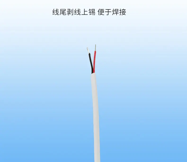 成分