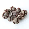 Casca de fruta faça você mesmo, pinha, lascas de madeira, folhas, flores secas, combinação de frutas secas, decoração de natal, decoração de jardim de infância, adereços retrô