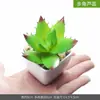 Planta suculenta de simulación en maceta flor artificial mueble de vino mesa adornos pequeños plantas verdes escritorio de oficina sala de estar decoraciones para el hogar