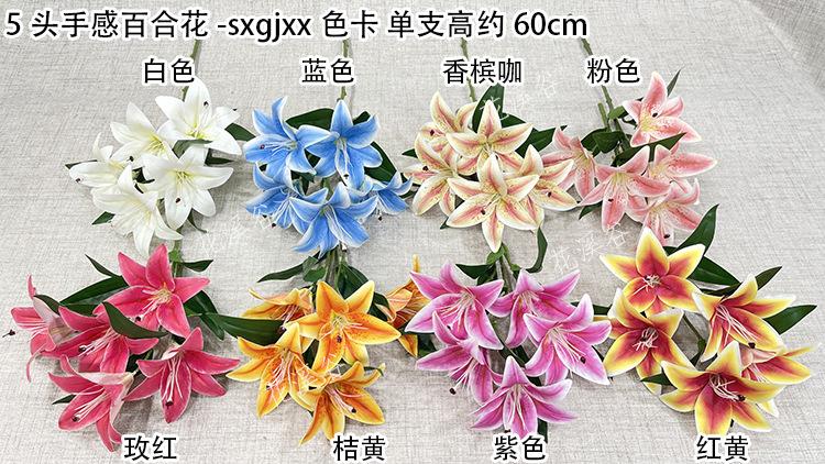 5头手感百合花-sxgjxx 色卡 花溪谷.jpg