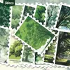 36 Pegatinas de Sellos Temáticas de Sanación Bosque Verde Estilo Ilustración para Maletas, Fundas de Teléfono y Decoración de Diario DIY